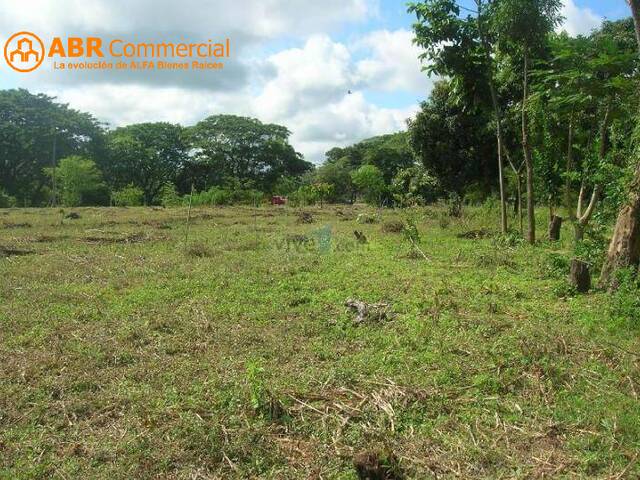 #4446 - Terreno para Venta en Lago Agrio - U - 2