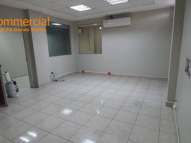 Oficinas para Alquiler en Guayaquil - 4