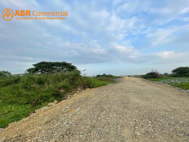 Venta en Vía Samborondón - Samborondón