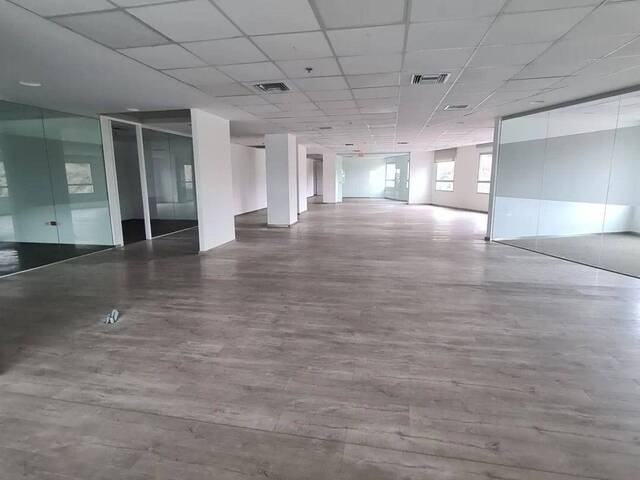 OFICINA EN ALQUILER 549 M2- PARQUE EMPRESARIAL COLÓN- NORTE 