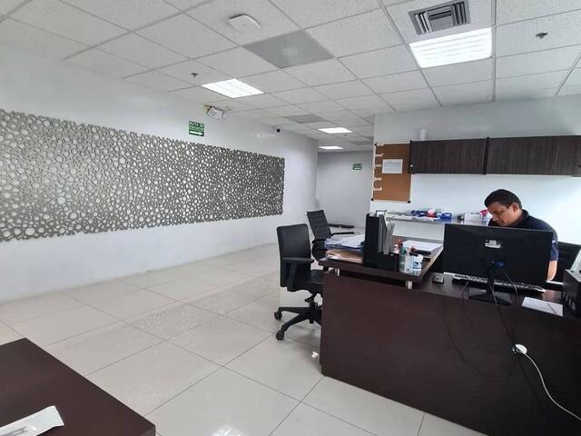 Oficinas para Alquiler en Guayaquil - 4