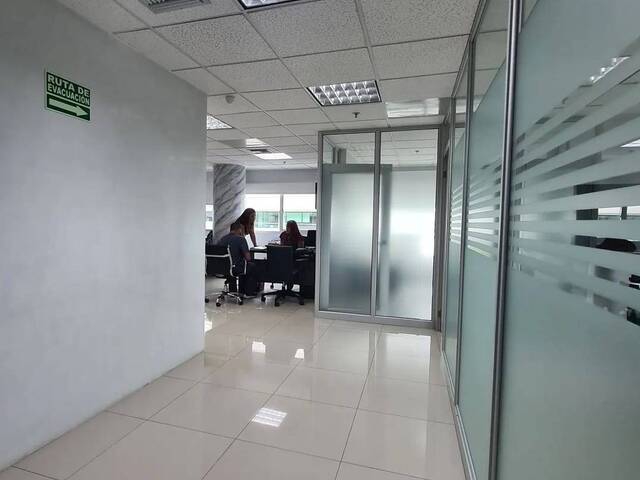 Oficinas para Alquiler en Guayaquil - 5