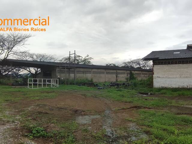 #4519 - Bodegas para Venta en Guayaquil - G - 3