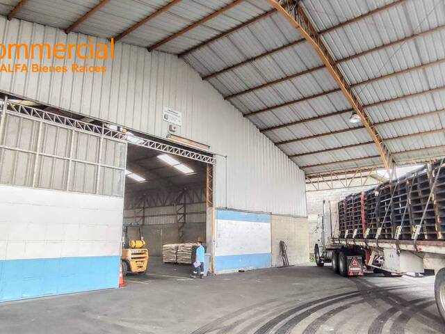 Bodegas para Venta en Guayaquil - 5