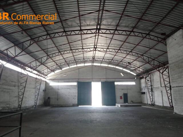 Bodegas para Alquiler en Guayaquil - 4