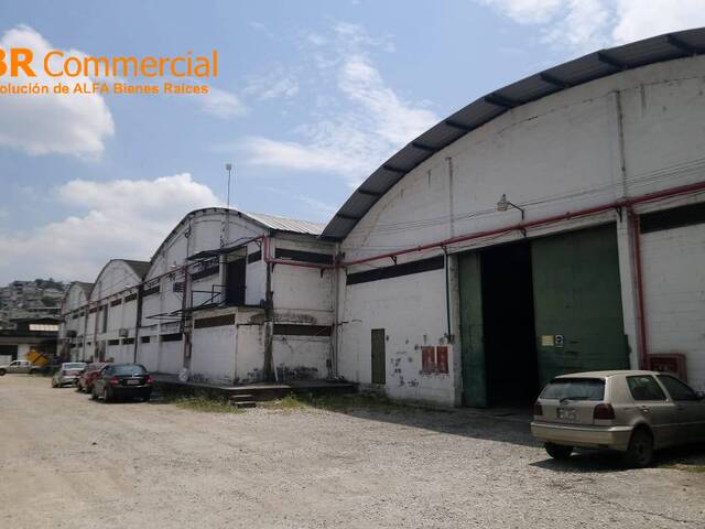 Bodegas para Alquiler en Guayaquil - 5