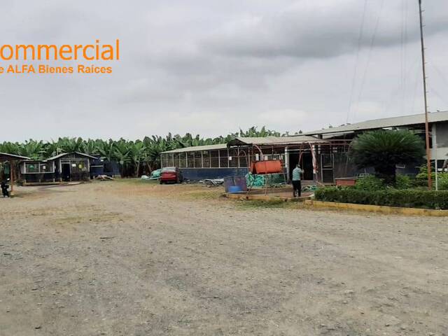 #4569 - Hacienda para Venta en Baba - R - 1