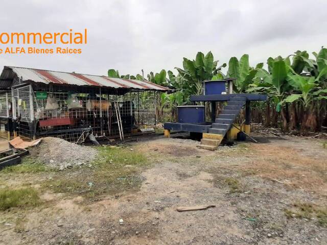 Hacienda para Venta en Baba - 4