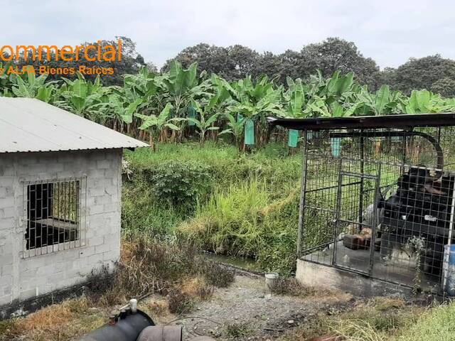 Hacienda para Venta en Baba - 5