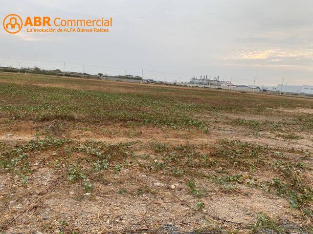 #4290 - Terrenos Industriales para Venta en Durán - G