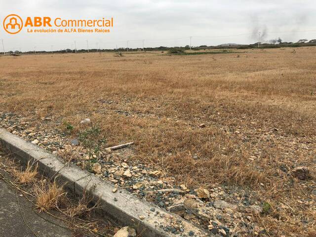 #4291 - Terrenos Industriales para Venta en Durán - G