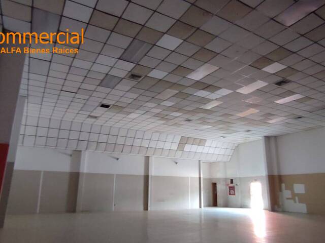 Local Comercial para Alquiler en Guayaquil - 5