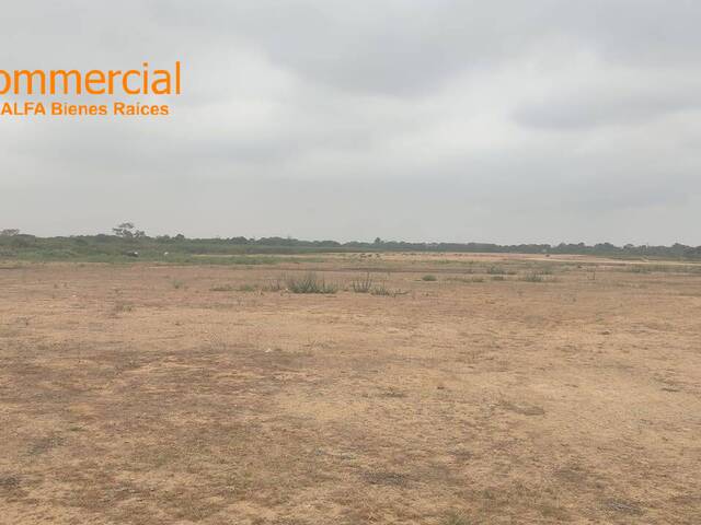 #4646 - Terrenos Industriales para Venta en Durán - G - 3