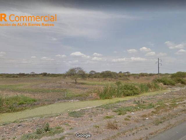 #4658 - Terrenos Industriales para Venta en Durán - G - 1