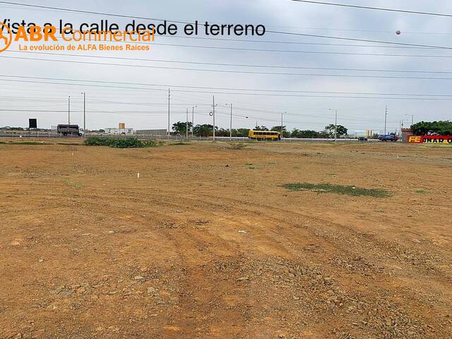 Terreno para Venta en Samborondón - 4