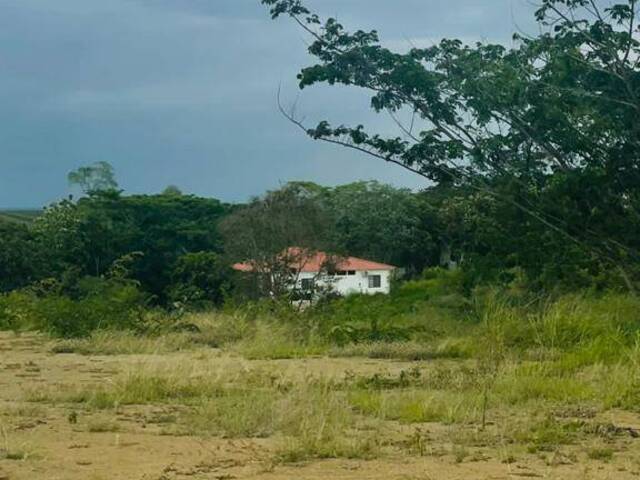 #4697 - Terreno para Venta en Guayaquil - G - 2