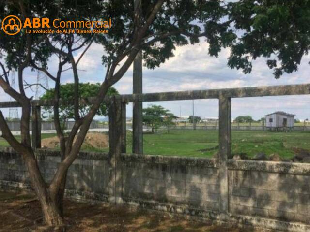 #4736 - Terreno para Venta en Samborondón - G