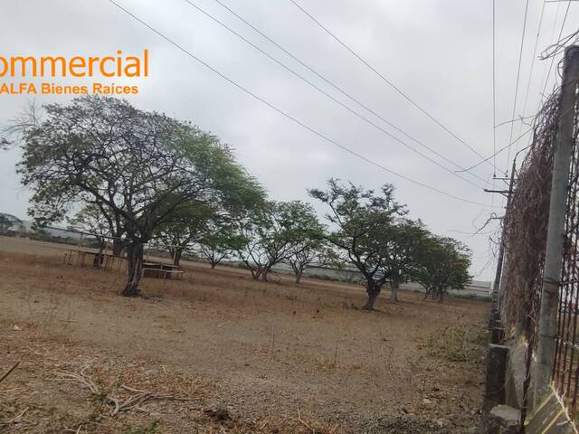 Terrenos Industriales para Venta en Durán - 4