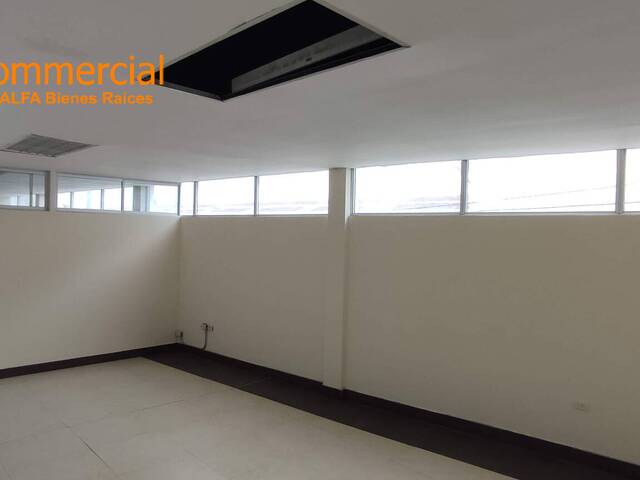 Oficinas para Alquiler en Guayaquil - 4