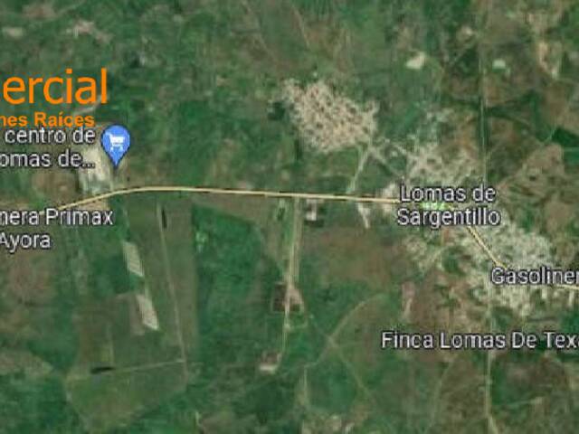 #4814 - Terrenos Industriales para Venta en Lomas De Sargentillo - G