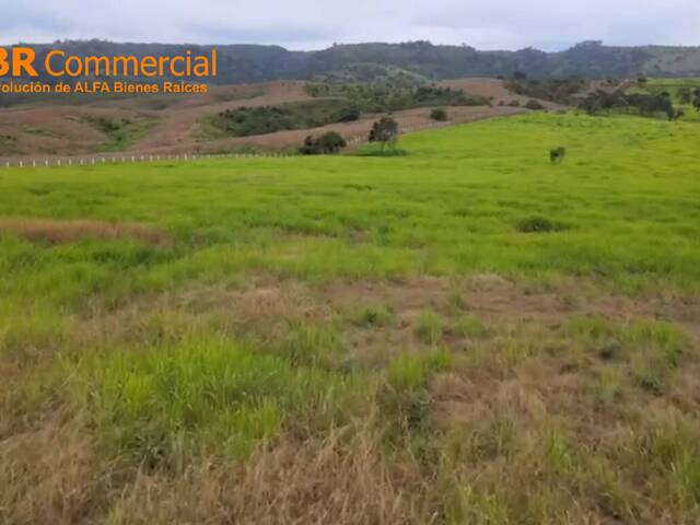 Terreno para Venta en Guayaquil - 4