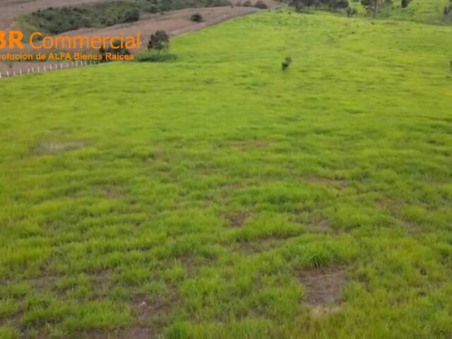 Terreno para Venta en Guayaquil - 5