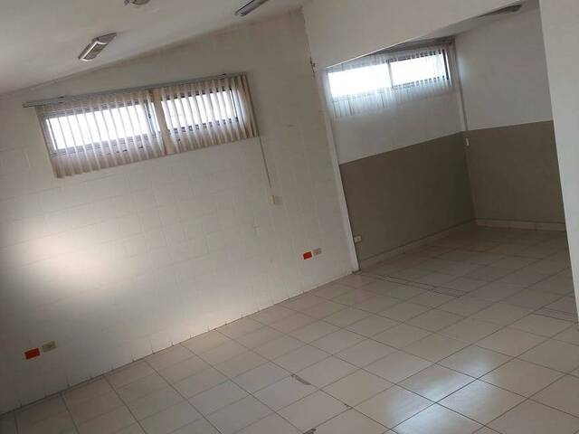 Oficinas para Alquiler en Guayaquil - 4