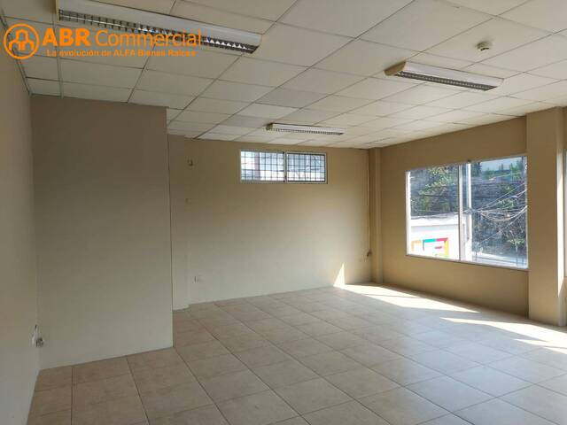 Oficinas para Alquiler en Guayaquil - 4