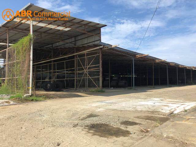 #4889 - Bodegas para Alquiler en Guayaquil - G - 3