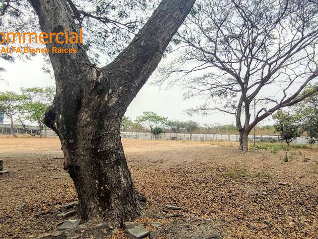 #4491 - Terreno para Venta en Durán - G