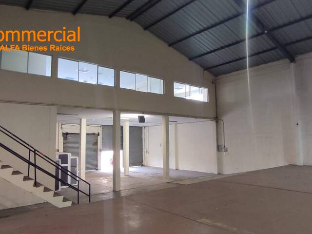 Bodegas para Alquiler en Guayaquil - 4