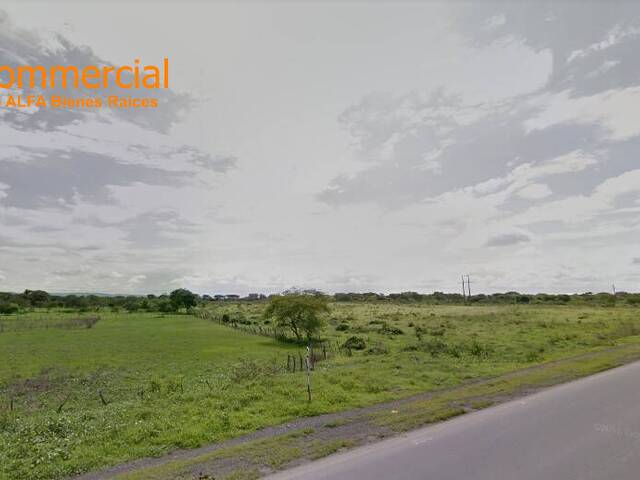 #4931 - Terrenos Industriales para Venta en Lomas De Sargentillo - G - 2
