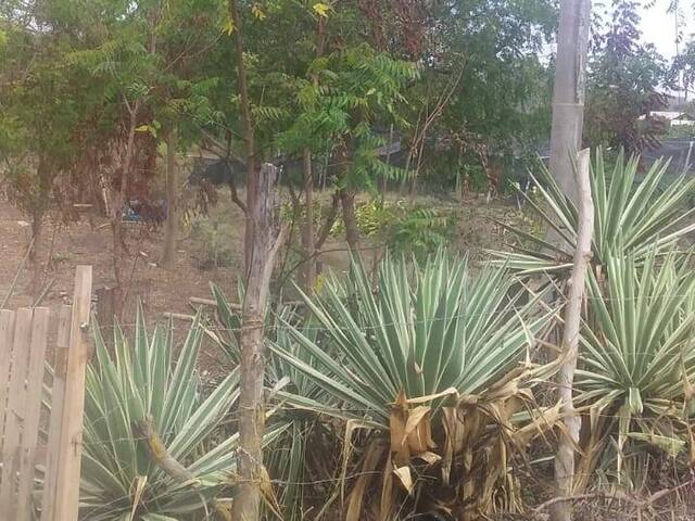 #4988 - Terreno para Venta en General Villamil - G