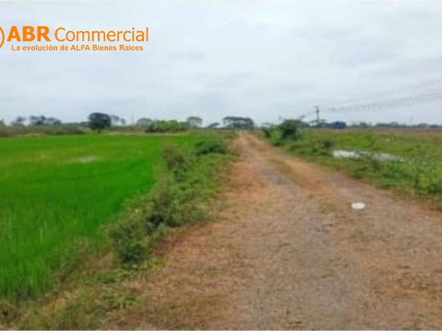 Terreno para Venta en Yaguachi - 4