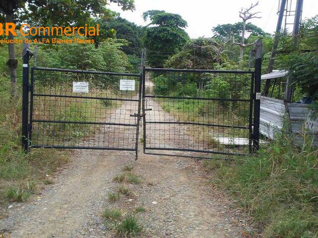 Terreno para Venta en Guayaquil - 5