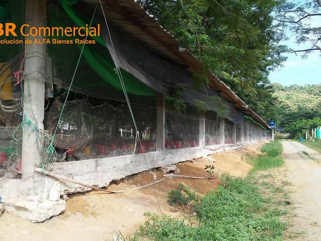 Venta en Vía a La Costa - Guayaquil