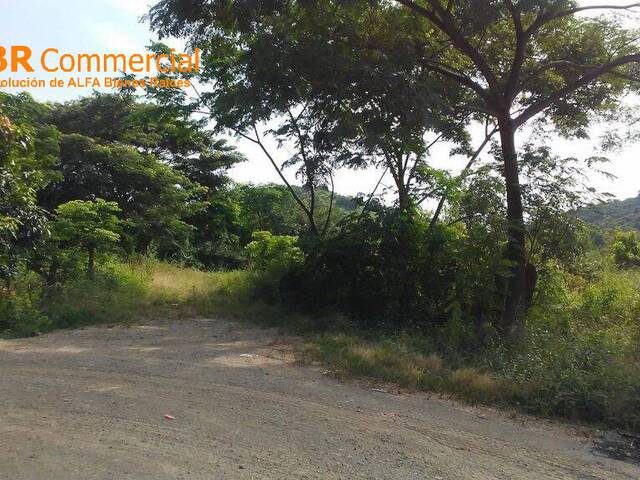 Terreno para Venta en Guayaquil - 4