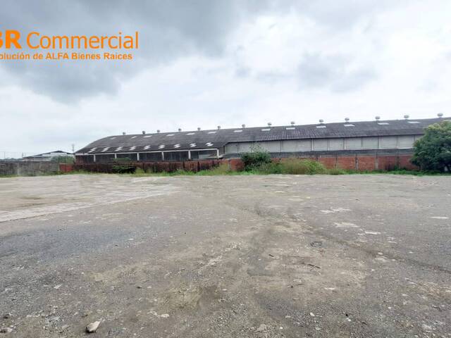Bodegas para Alquiler en Guayaquil - 4