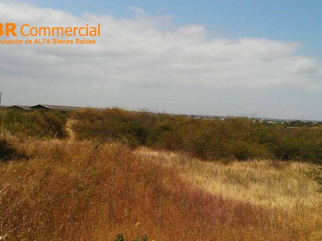 Terreno para Venta en Guayaquil - 4