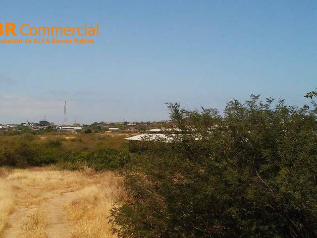 Terreno para Venta en Guayaquil - 5