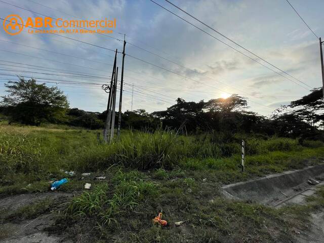 Terrenos Industriales para Venta en Guayaquil - 5