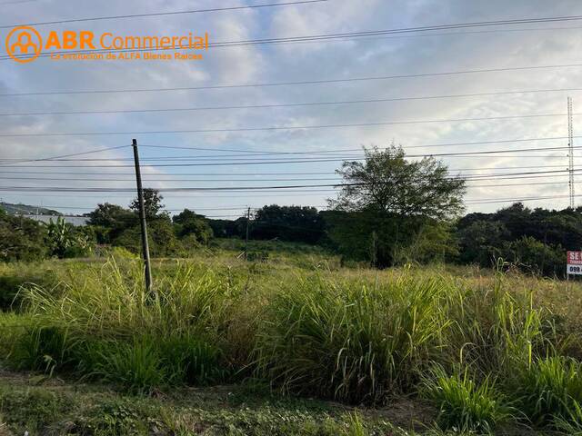 EN VENTA TERRENO 23.609M2- VÍA A DAULE KM 23 - AL PIE DE LA 