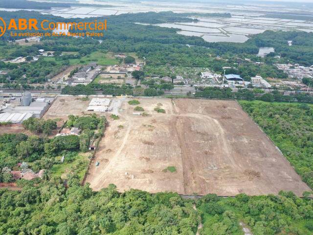Terreno para Alquiler en Guayaquil - 5