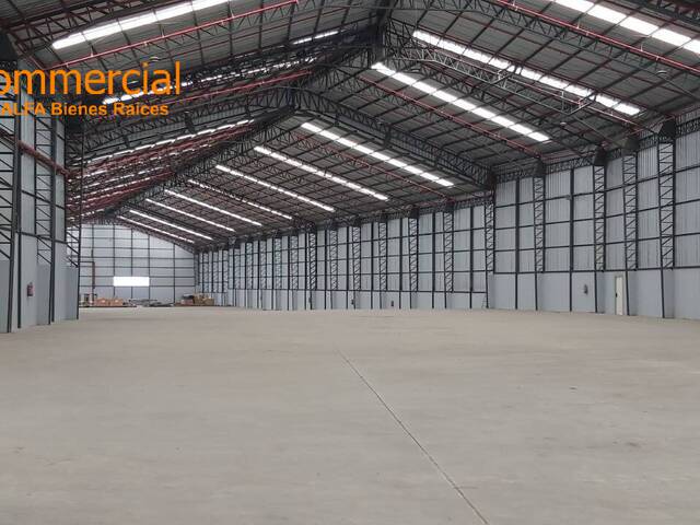 Bodegas para Alquiler en Guayaquil - 5