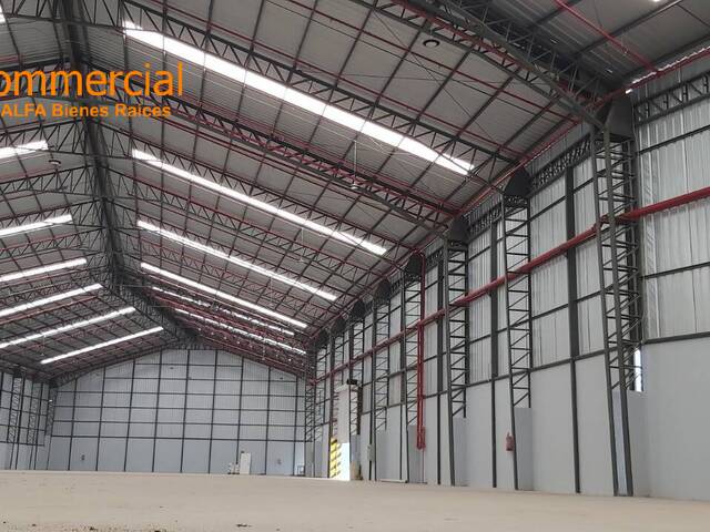 Bodegas para Alquiler en Guayaquil - 4