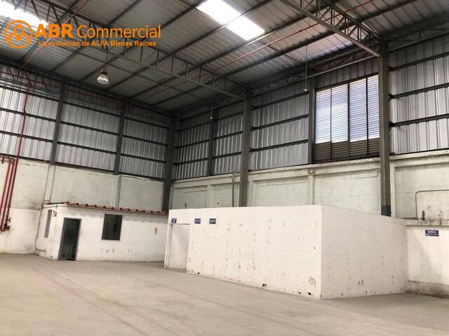 Bodegas para Alquiler en Guayaquil - 4