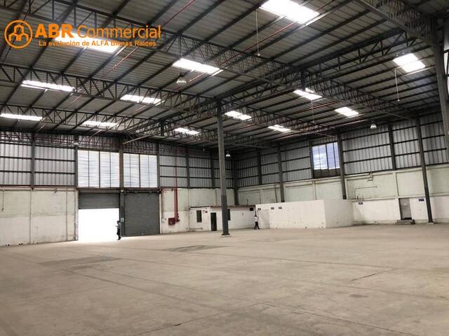 Bodegas para Alquiler en Guayaquil - 5