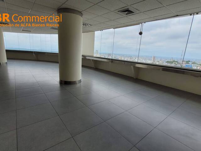 #5097 - Oficinas para Alquiler en Guayaquil - G - 2