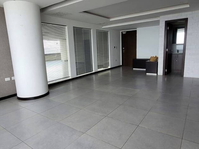 Oficinas para Alquiler en Guayaquil - 5