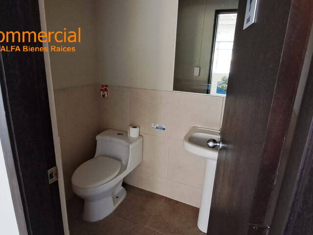 Oficinas para Alquiler en Guayaquil - 4